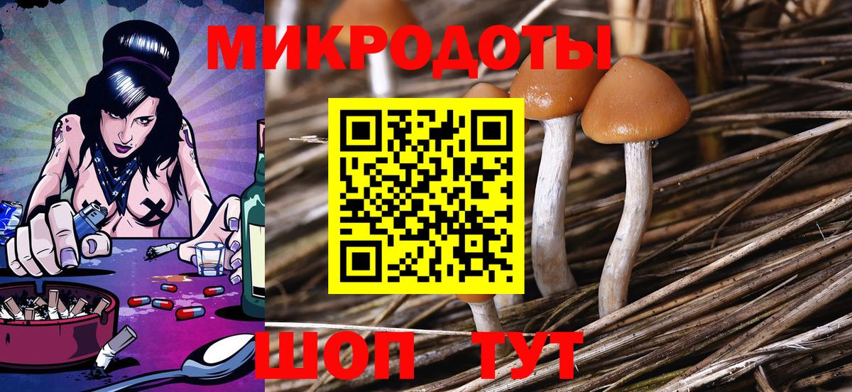 Галлюциногенные грибы MAGIC MUSHROOMS Аргун